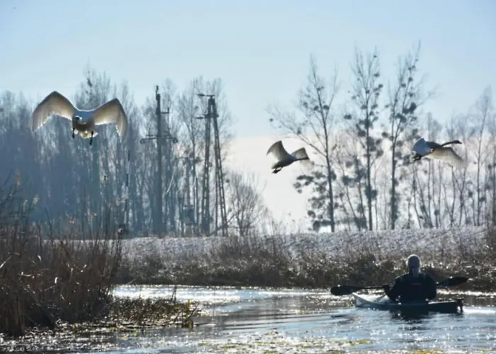 Azur Διαμέρισμα